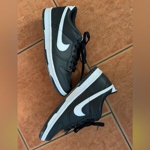 Big kids Nike dunk sneakers